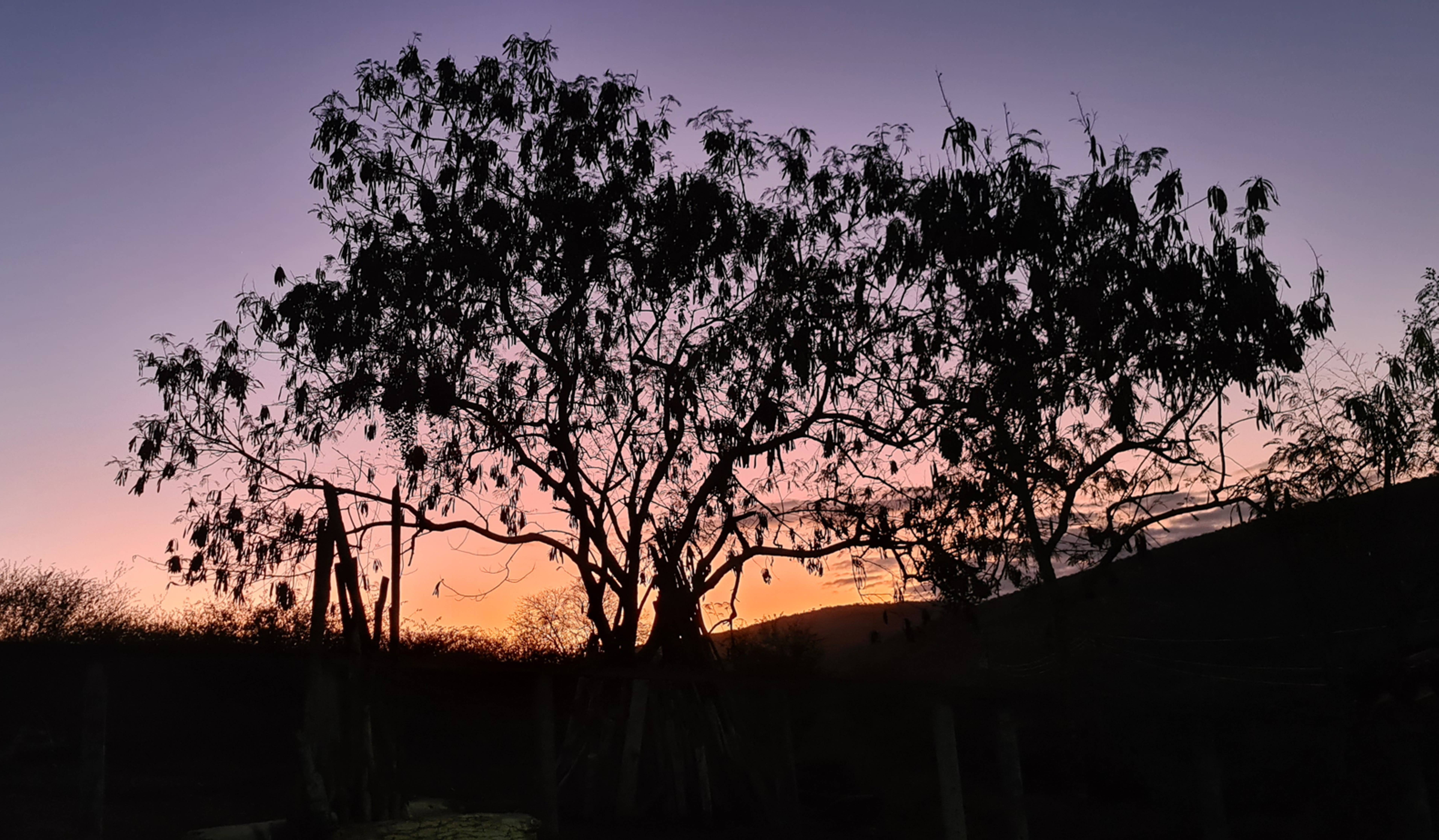 4 Fotografias (Por do sol - Santa Inês Ba)